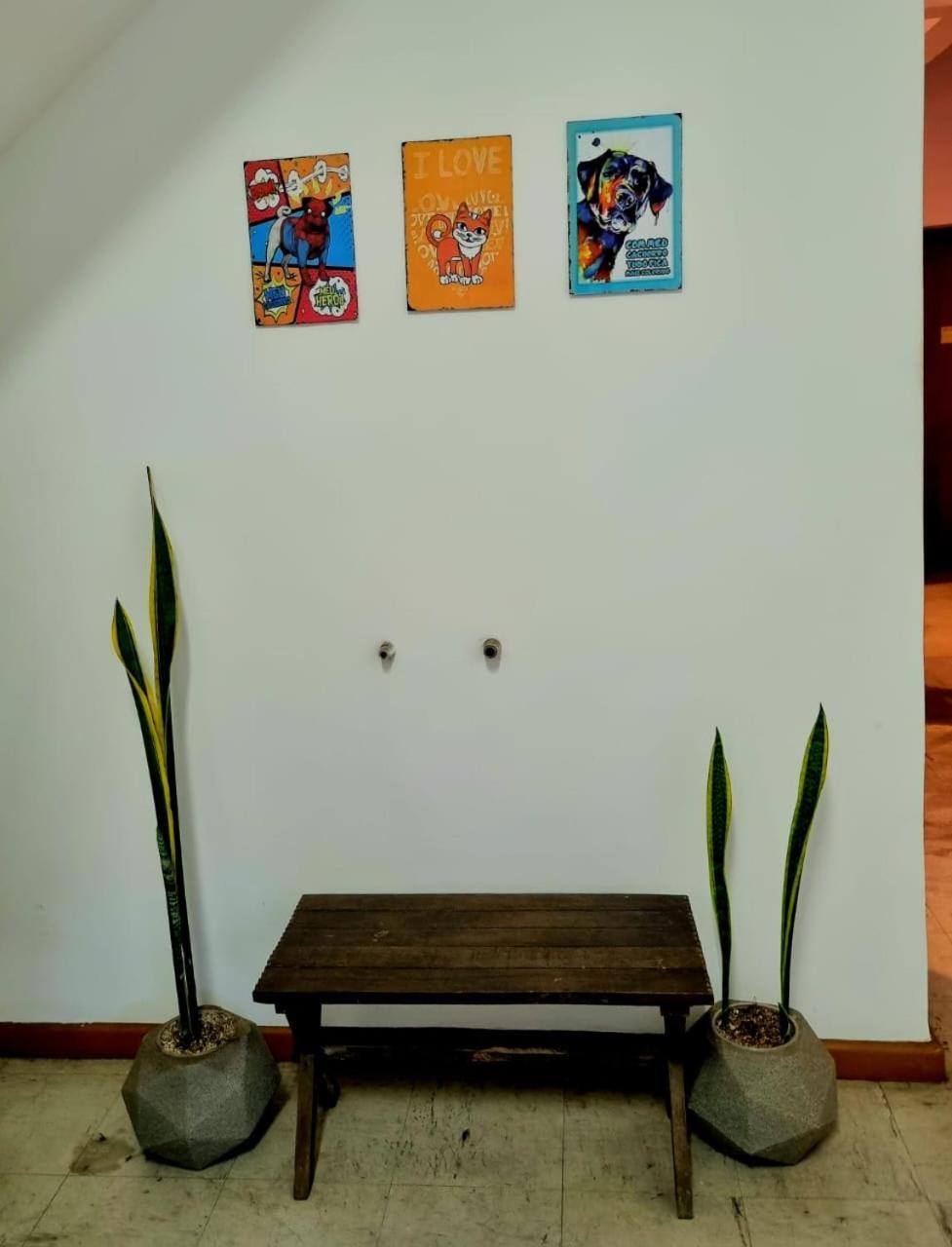 Cool Living Hostel - Praca Da Liberdade Belo Horizonte Exteriör bild